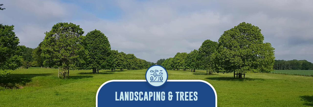 Our Amenities - Landscaping & Trees